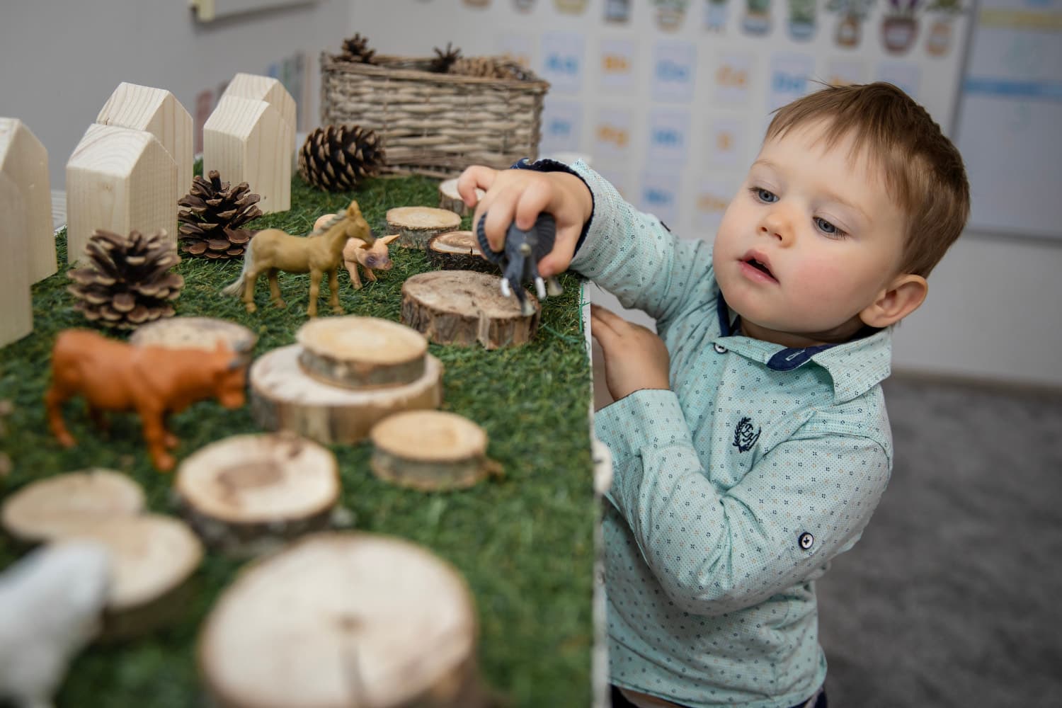 Papildoma programos akimirka